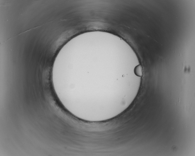 X0000112140010200909041050