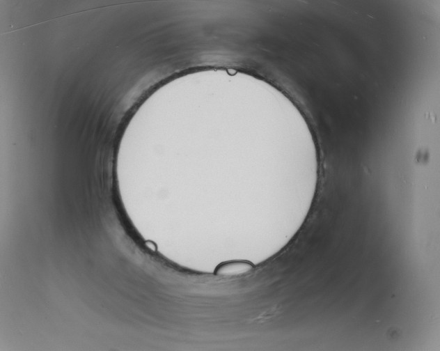 X0000112140011200909041050