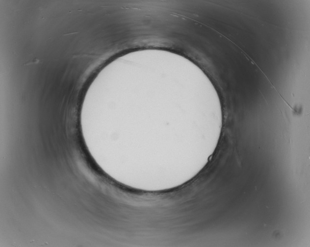 X0000112140012200909041050