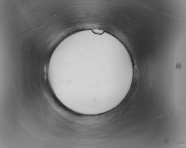 X0000112140013200909041050