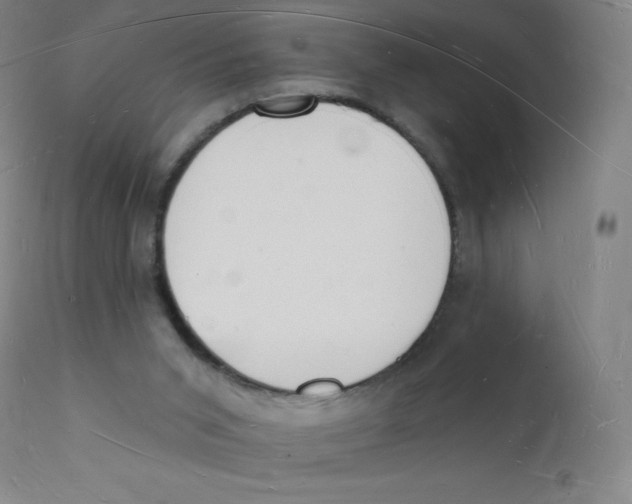 X0000112140015200909041050