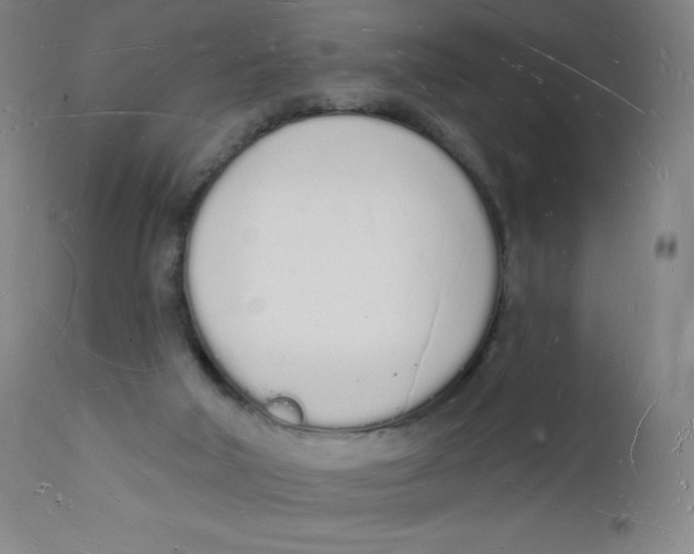 X0000112140018200909041050