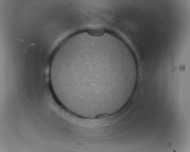 X0000112140019200909041050