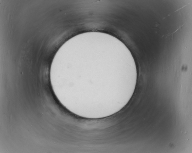 X0000112140021200909041050