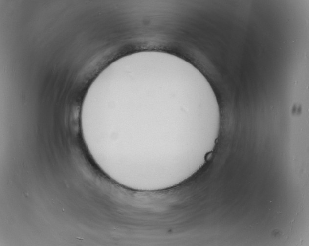 X0000112140022200909041050