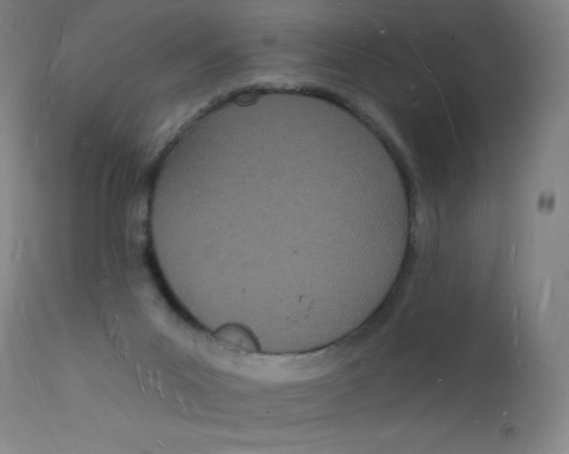 X0000112140023200909041050