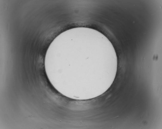 X0000112140025200909041050