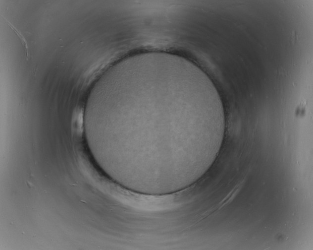 X0000112140027200909041050