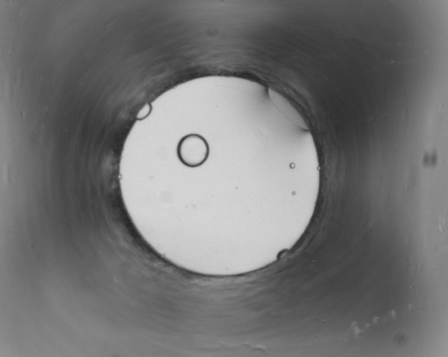 X0000112140029200909041050