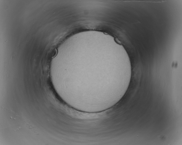 X0000112140031200909041050