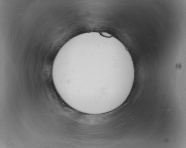 X0000112140033200909041050