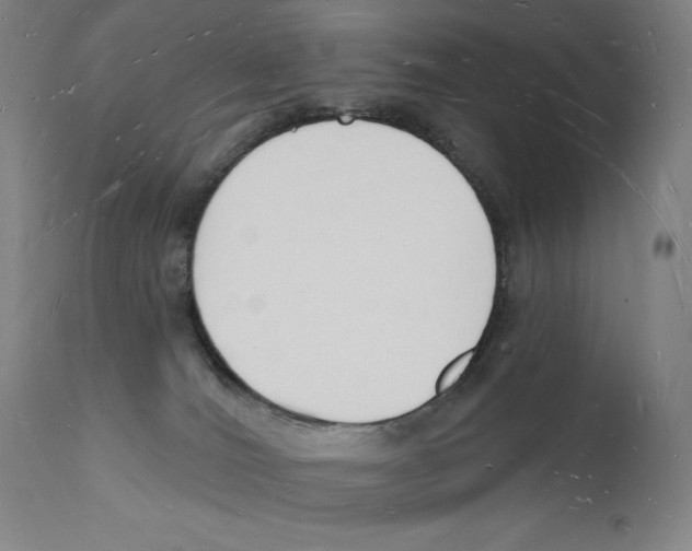 X0000112140036200909041050