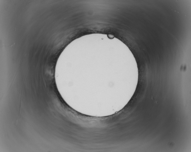 X0000112140040200909041050