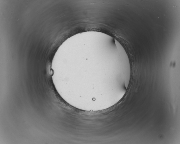 X0000112140041200909041050