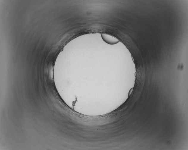 X0000112140046200909041050