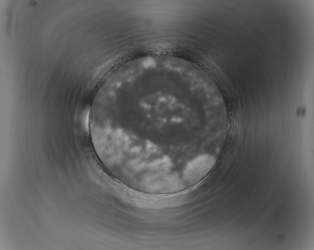 X0000112140047200909041050