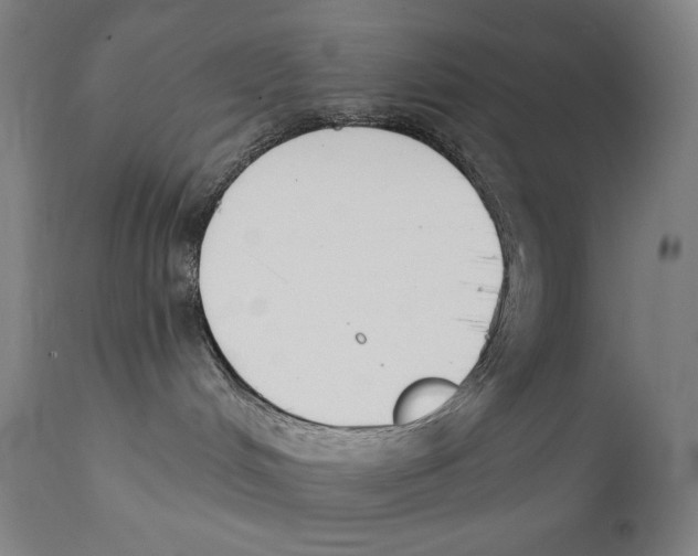 X0000112140048200909041050