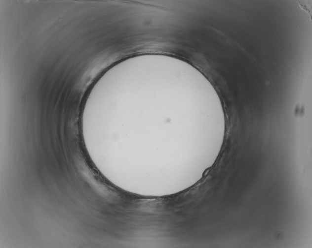 X0000112140050200909041049