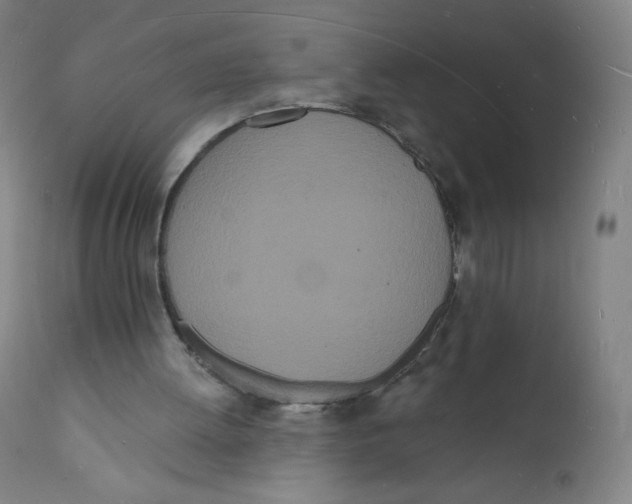 X0000112140052200909041049