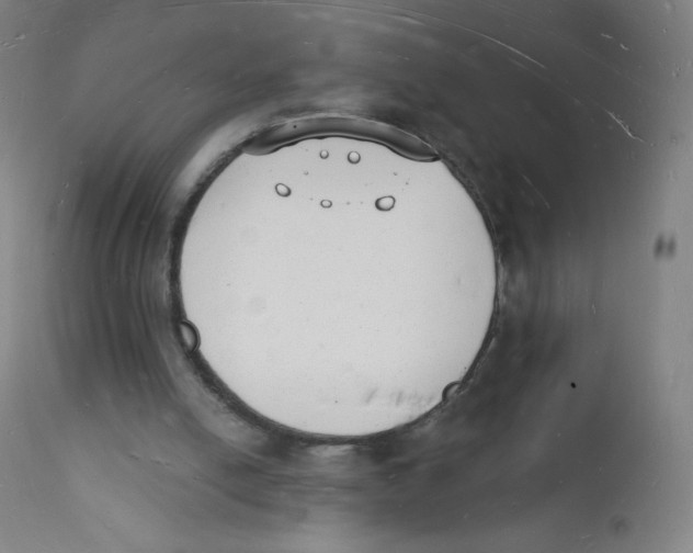 X0000112140054200909041049