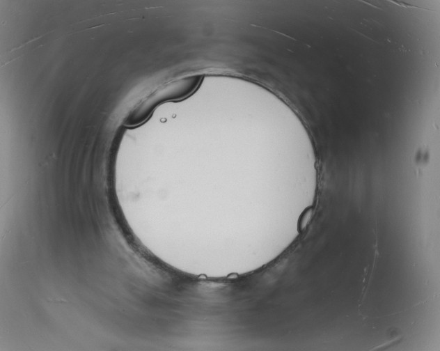 X0000112140055200909041049