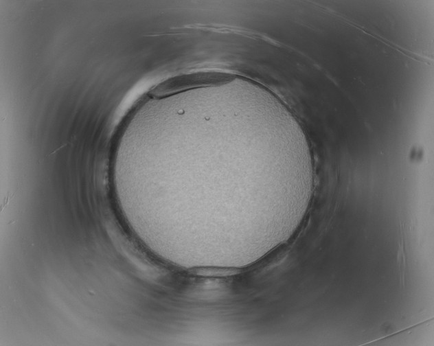 X0000112140056200909041049