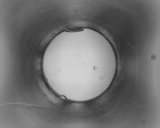 X0000112140057200909041049