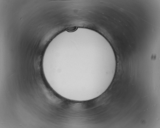 X0000112140058200909041049