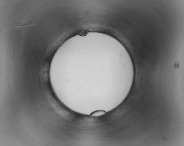 X0000112140065200909041049