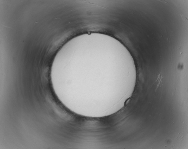 X0000112140066200909041049