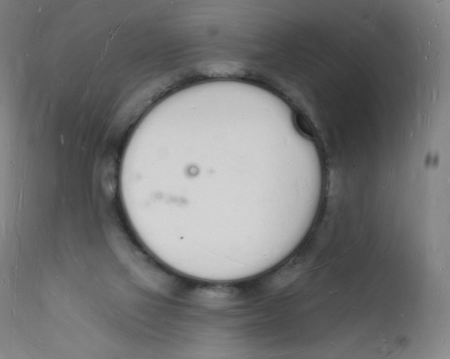 X0000112140069200909041049