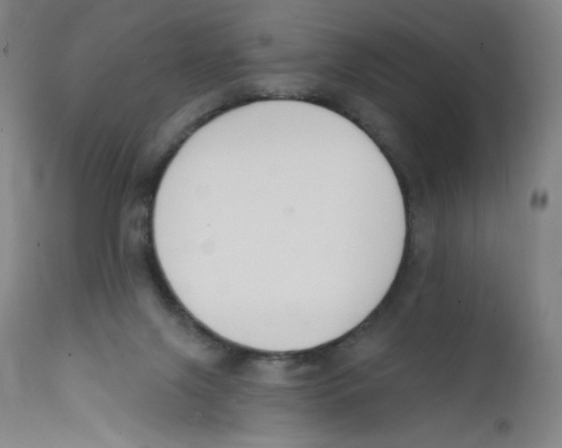 X0000112140071200909041049