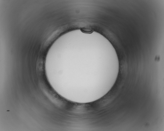 X0000112140072200909041049