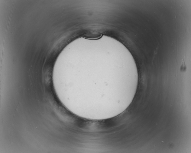 X0000112140074200909041049