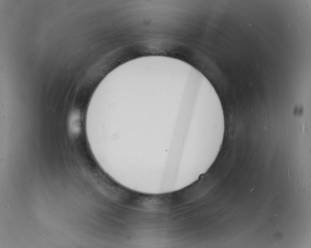 X0000112140075200909041049