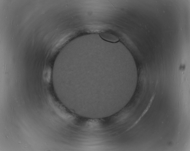 X0000112140076200909041049