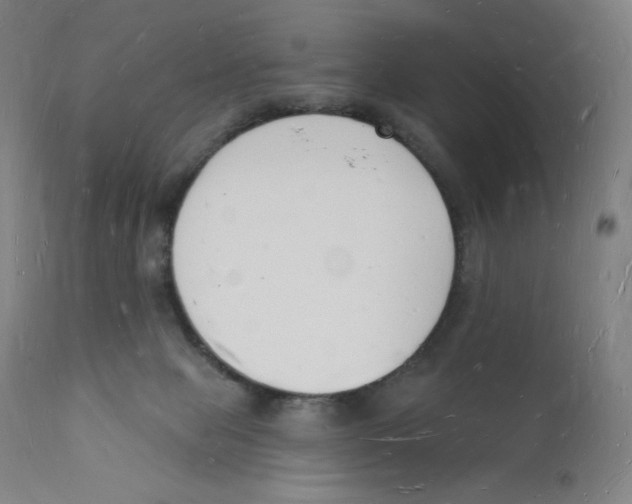 X0000112140077200909041049