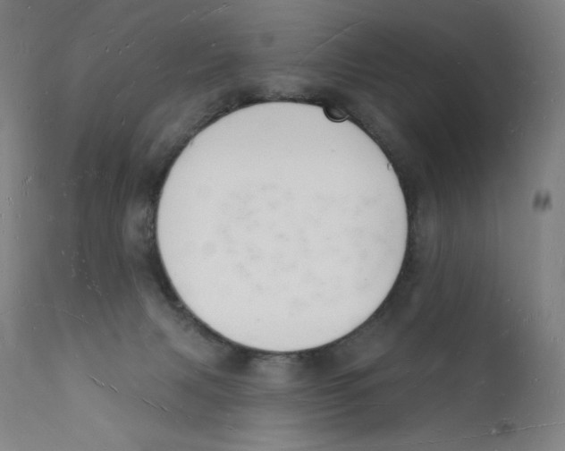 X0000112140079200909041050