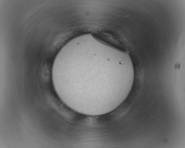 X0000112140080200909041050