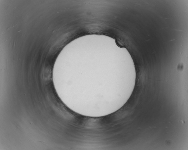 X0000112140081200909041050