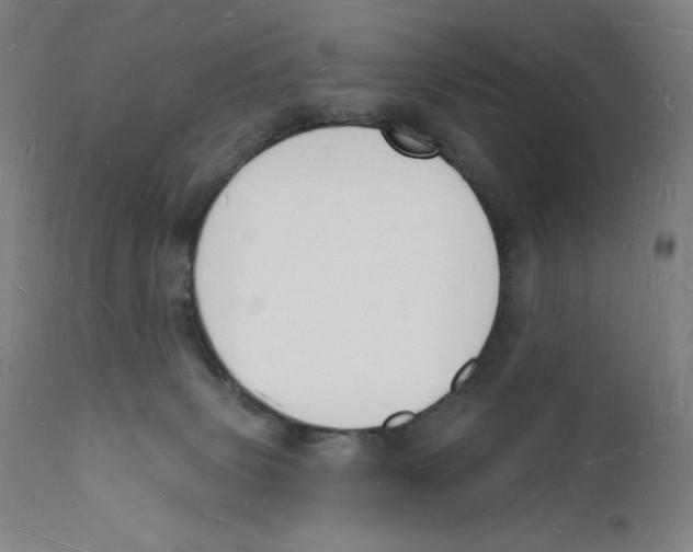 X0000112140083200909041050