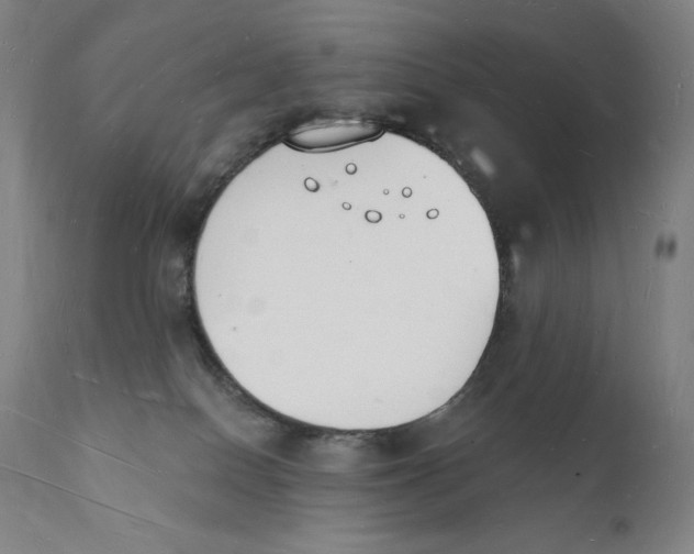 X0000112140086200909041050