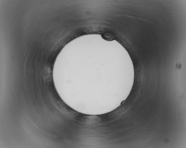 X0000112140087200909041050