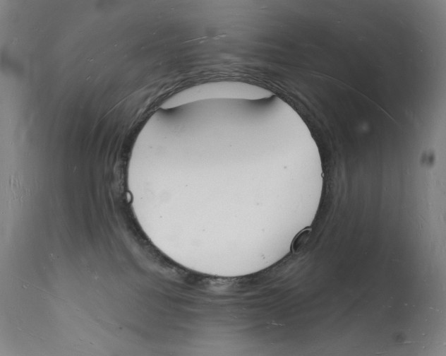 X0000112140088200909041050