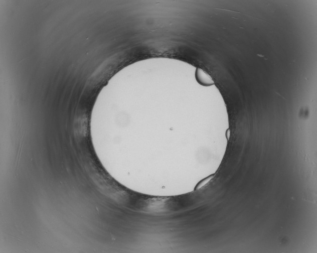 X0000112140090200909041050