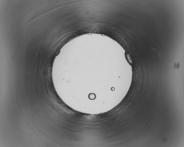 X0000112140092200909041050