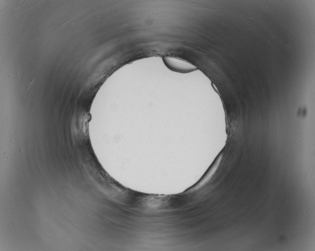 X0000112140094200909041050