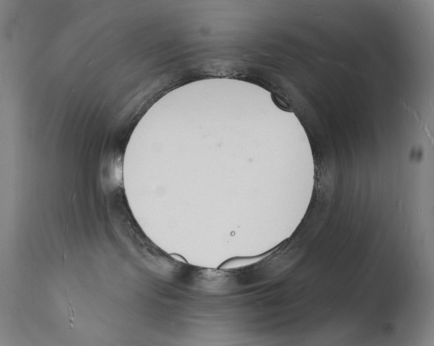 X0000112140095200909041050