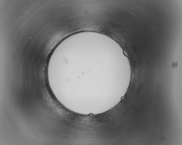 X0000112140098200909041049