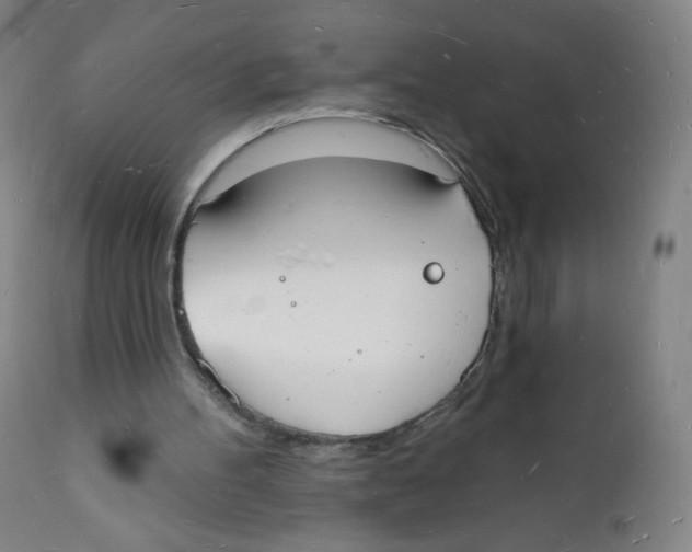 X0000112140100200909041049